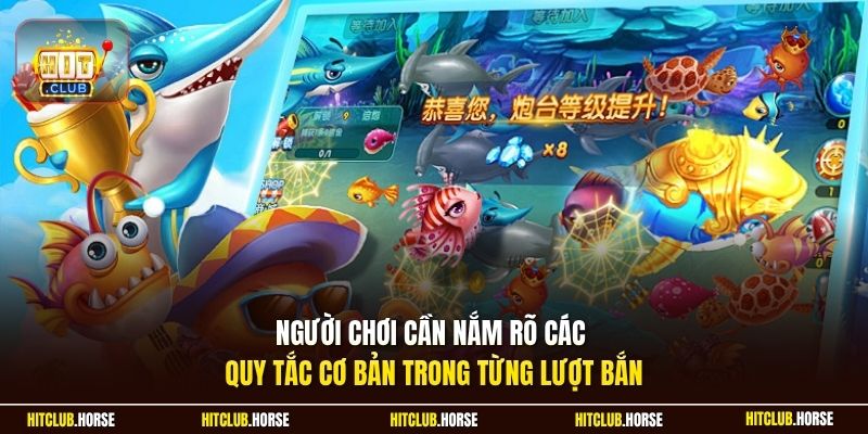 Người chơi cần nắm rõ các quy tắc cơ bản trong từng lượt bắn